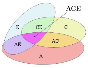 ACEラーニングの概念図